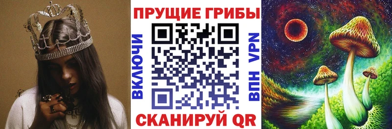 Псилоцибиновые грибы ЛСД  Полысаево 