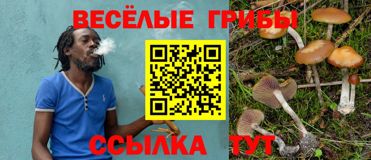 Полысаево  Псилоцибиновые грибы MAGIC MUSHROOMS  Вход с VPN  Галлюциногенные грибы мухоморы 
